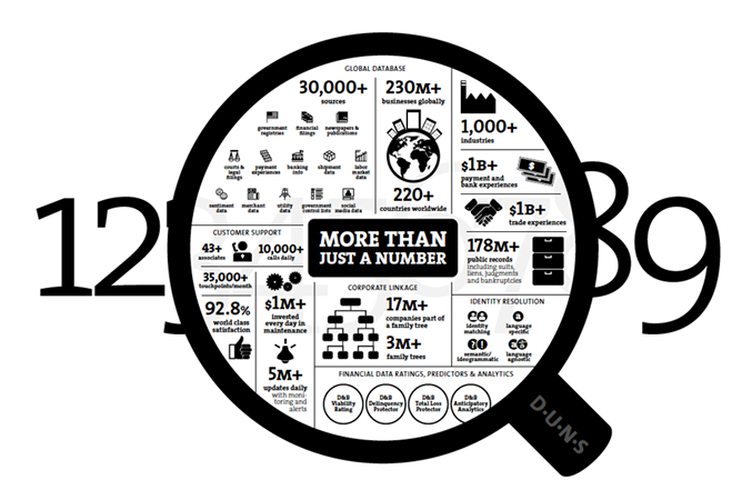 D-U-N-S-number-infographic-blog-partial