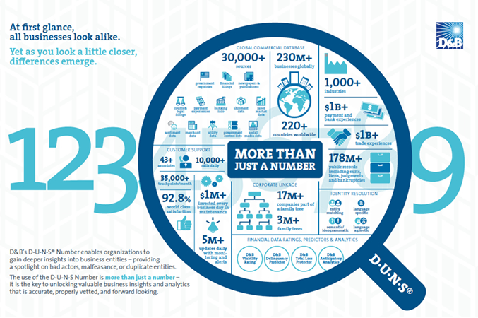 D-U-N-S-number-infographic-blog